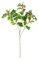 DPI Ilex Zweig Green mit Beeren L 40cm Weihnachtsdeko Winterdeko Tannenzweig Adventsdeko Dekoration