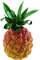 Nino Percussion Fruit Shaker Pineapple - Musical Instrument for Children from 3 Years - Plastic, Multicolored (NINO595)