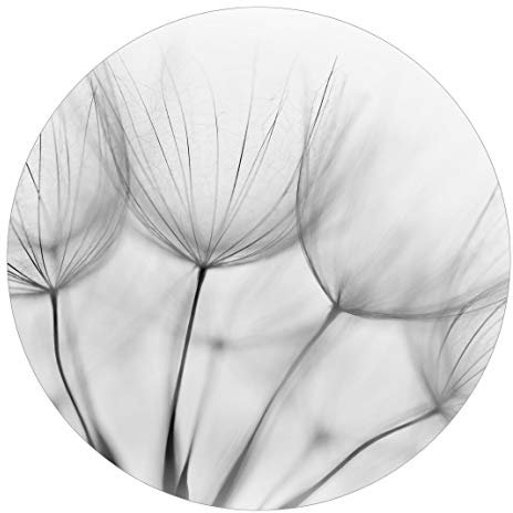 Runde Tapete selbstklebend In einer Pusteblume Schwarz-weiß 100x100cm