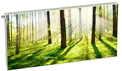 Cubierta magnética para radiador verde natural, 120 x 60 cm, cubierta de calefacción magnética para el frigorífico de un imán flexible con impresión digital