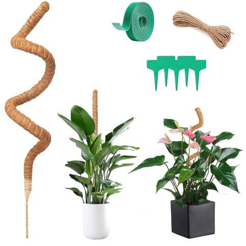 Forbabe Monstera Rankhilfe, 110cm Moosstab für Monstera, Kokosstab Monstera Biegbar Rankhilfe Zimmerpflanzen