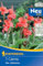 Kiepenkerl Blumenrohr Miss Oklahoma 711945 - Canna Blumenzwiebeln mit leuchtend lachsrosafarbenen Blüten - ideal für Kübelpflanzung - Pflanzen, Blumensamen