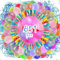 Qingshui Wasserbomben Selbstschließend, 851 Stück Wasserbombem, Water Balloons Sekunden Schnellfüller, Helle Farben Bunt Wasserbombe, für Sommer Party