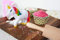 Einhorn Streuer Salzstreuer Streusel Kuchen Einhornstreuer Unicorn Shaker
