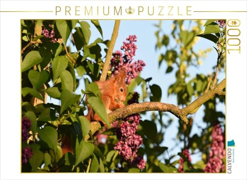 CALVENDO Puzzle Fliederhörnchen | 1000 Teile Lege-Größe 64 x 48 cm Foto-Puzzle für glückliche Stunden