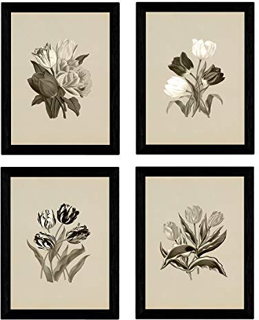 Nacnic Botanische Plakate 4-er Set. Vintage Hintergrund Tulpen Poster Set. Verschiedene Hintergründe zur Auswahl. Größe A3, ohne Rahmen.
