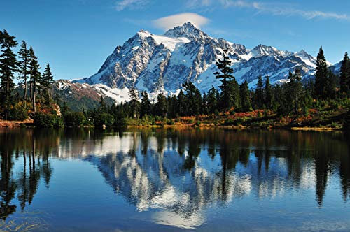 VLIES Fototapete-350x260 cm-GEBIRGE-(PF890)-Alpen Berge Landschaft Natur Alm Gipfel Blumen Bäume Wald Wandbild Wandtattoo Dekoration