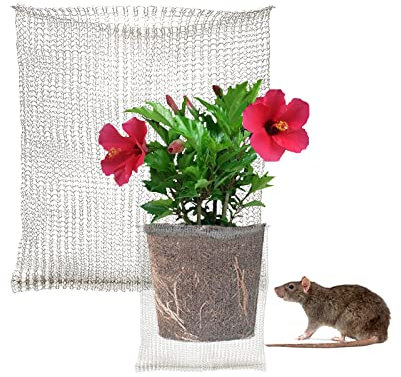 SJDWDX 2 Stück Wurzelschutz Geschwindigkeitskörbe für Pflanzen, 61 x 61 cm, Edelstahl, Pflanzendraht, Geschwindigkeitskörbe, Tierkäfige, Pflanzkörbe für Pflanzen, Beeren, Gemüse, Wurzelschutz
