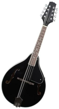 National Instruments Tibetische Mandoline Schwarze Achtsaitige Gitarre Lieder Spielen