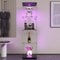 BLSYHDH Glasvitrine Standvitrine, Schrank für Sammlung mit LED, mit 1 Tür 4 Einlegeböden transparent Möbel Glasvitrine Glas Vitrine Figur Glasvitrine Wohnzimmer Bar (4 Etagen, 1 Tür + LED, schwarz)