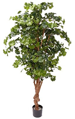 Künstlicher Ginkgo Sweet Kunstbaum Ginkobaum ca. 210cm | Naturstamm, 1456 Blätter, Im Topf, Hochwertig