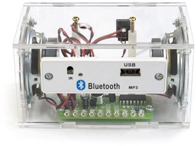 Tuesoa Ensemble de Bricolage pour Enceinte Bluetooth DIY, Kit de Projet Électronique à Souder, Pratique Pédagogique pour Enceinte Stéréo Bluetooth.