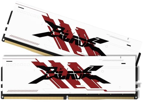 PUSKILL DDR4 3200MHz CL16 Desktop RAM Kit Heatsink, 32GB (2x16GB)