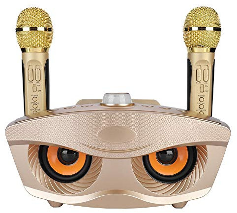 Annadue Karaoke Mikrofon zum Singen, Home Bluetooth Audio Karaokemaschine mit Zwei Mikrofonen, Tragbares KTV Lautsprecher, 10M Übertragungsentfernung, 1200mAh