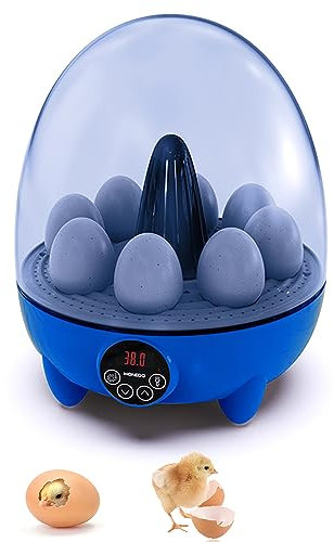 Ailgely Inkubatoren für Bruteier, 8 Eier Inkubator mit LED-Licht, Vollautomatischer Inkubatoren Brutmaschine, Temperaturkontrolle, 360-Grad-Ansicht, Hühnerei-Inkubatoren für Ente,Gans,Wachtel,Vogel
