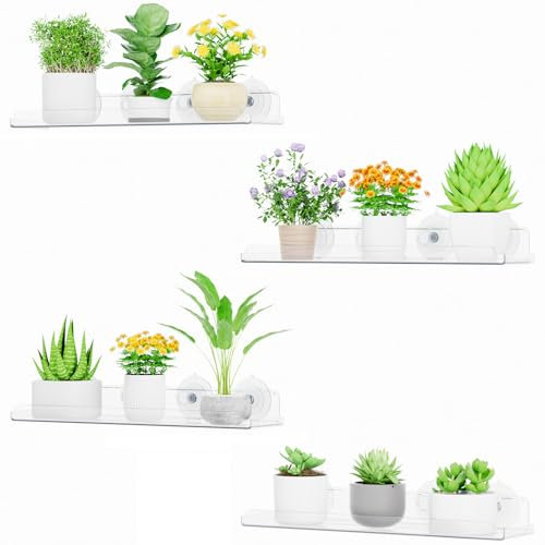 Lifewit Fenster Pflanzenregale, 4 Stück, 38cm, Transparent Regal Saugnapf, Fensterwand-Pflanzenständer für Küchenfenster, Innengärten, Blumen, Sukkulenten, Kräuter, Sämling-Organisation