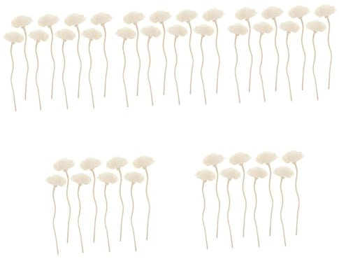 Cabilock Aroma Diffuser Sticks 40 Stück Gras Duftdiffusor Öl Diffusor Ätherische Öle Blumen Diffusor Sticks Ritual Diffusor Flüssige Aromatherapie Sticks Aromatherapie Für Rattan Weiß Aroma Ratans