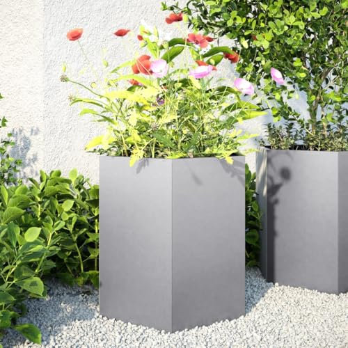 Lauuoeriau Lot de 2 pots de fleurs hexagonaux en acier galvanisé 46 x 40 x 45 cm