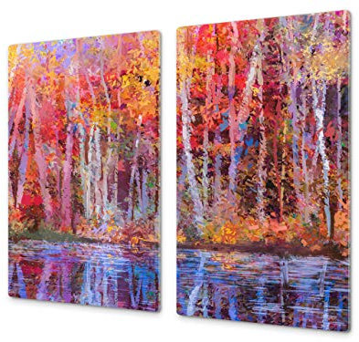 Cubre vitrocerámica y tabla de cortar de cristal templado – Superficie de vidrio templado resistente – UNA PIEZA (60 x 52 cm) o DOS PIEZAS (30 x 52 cm); D13 Serie Dibujos: Dibujo 58