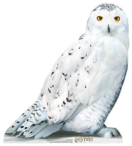 Harry Potter Pappaufsteller Harrys Eule Hedwig
