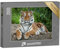 puzzleYOU: Puzzle 2000 Teile „Sibirischer Tiger, auch bekannt als Amur-Tiger“ – aus der Puzzle-Kollektion Tiger, Tiere in Savanne & Wüste