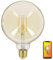 KOZII Ampoule LED connectée Filament E27 G125 Transparent - Ampoule Connectee Douille Variation De Luminosité - Alexa Et Google Home - LED 470 Lm - KRFDE470B125ACCT