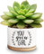 Life Would Succ Without You White Ceramic Succulent Planter Pots, Funny Planter Pots for Plant Lover Birthday, 3.6 Inch (Plant Not Included) (You Grow Girl)