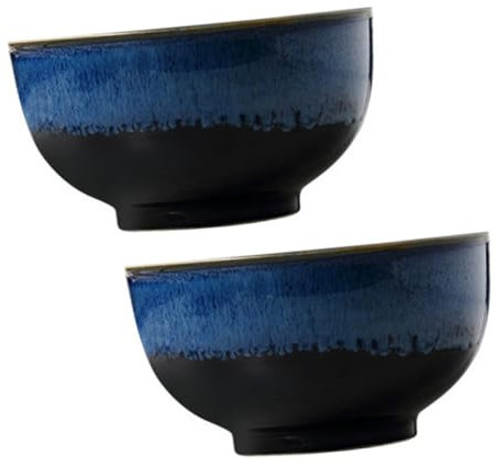 Garneck 2pièces Bols Céramique Assiette De Riz Créative Bol à Ramen Porcelaine De Émaillés Avec Fissures Glacées