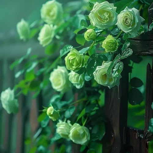1000 semillas de flores de rosa de vino para plantar al aire libre, pérgolas y enrejados, vid floreciente larga (1000, verde)