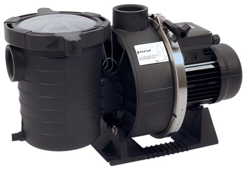 Pentair Pompe de Filtration Ultra Flow 0,75 CV Monophasée - 11m3/h