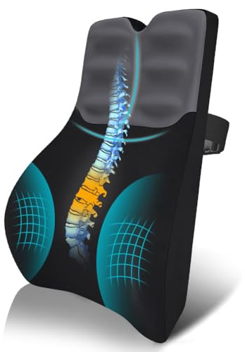 AOOHA Cojín de Soporte Lumbar Ergonómico, Cojín de Soporte Lumbar Ergonómico Soporte Respaldo de Espuma Viscoelástica de Alta Densidad y Funda Lavable para Silla de Oficina, Coche y Gaming