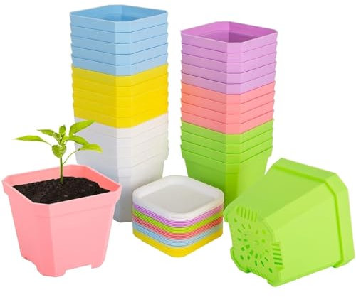 KAHEIGN 24 Pz Vasi Per Piante Quadrate, 7cm Addensare Vasi Di Fiori Di Plastica Fioriera Succulenta Vasi Per Vivaio Con Pallet/Vassoi Per Piccole Piante In Vaso (6 Colori)