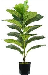 Wintem Planta de Ficus Lyrata Artificial de Polietileno con 21 Hojas, 75 cm, Maceta con Musgo, Planta Decorativa para Interiores