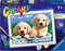 Ravensburger- CreArt Série E - Chiens Retriever - Jeu créatif pour enfants - Peinture au numéro dès 7 ans - 28931 - Version allemande