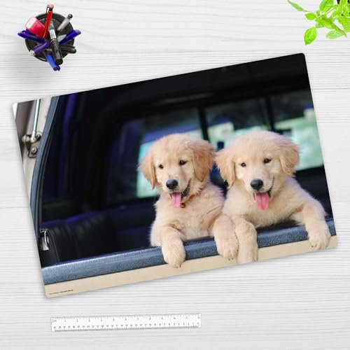 Schreibtischunterlage für Kinder und Erwachsene – “Golden Retriever Hundewelpen“ – aus erstklassigem Vinyl (Kunststoff) – 60 x 40 cm – Rutschfeste Schreibunterlage mit bestem Schutz – Made in Germany