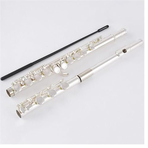 Kupfernickel-C-Mechanikflöte Mit Geschlossenem Loch Für Studenten, Versilbert, 17 Löcher, E-Klappenflöte Mit Etui Querflöte für Anfänger