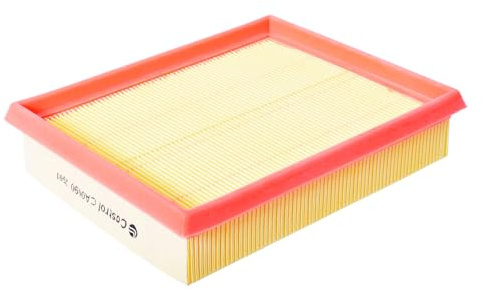 Castrol Filters CA0090 Air Filter