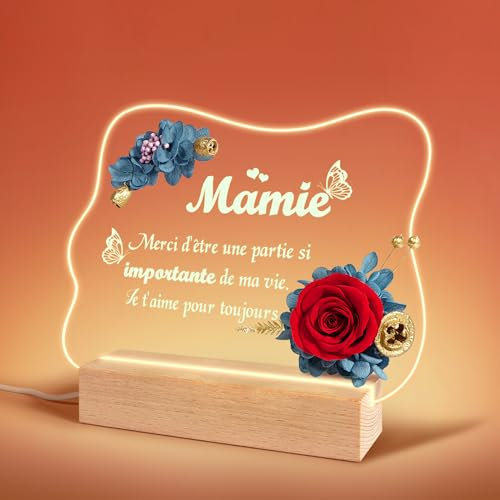 Sunia Veilleuse LED en Acrylique avec Rose Eternelle, Cadeau Anniversaire Mamie, Vraie Rose Préservée Cadeau Mamie, Cadeau Fete des Grand Mere, Cadeaux pour Grand Mere, Idee Cadeau Mamie Original
