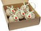 BoBoU Set di 5 decorazioni natalizie in legno e feltro, decorazione natalizia per albero di Natale, decorazione natalizia (renna, bianco, 5 pezzi)