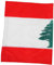 ULTECHNOVO Drapeau National Priez Pour Le Drapeau Du Liban Bracelet Drapeaux Du Liban Polyester