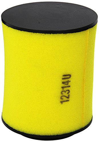 Filtro aria Honda 17254-hp5 – 600