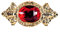 NET TOYS Grande Broche Baroque Broche Rubis Bijou précieux Bijou col pin's Bijou en Or soirée à thème Roi Prince Accessoires déguisement