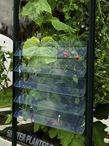 Pergart Vitavia Lamellen-Wandfenster mit ESG grün