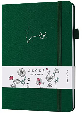 SeQeS Ballpunkttagebuch – A5-Briefbuch, 160 Seiten GSM-Papier, wasserfestes Papier, Punktetagebuch, Karton, mit Innentasche (Pisces)