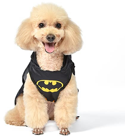 DC Comics Batman-Hundekostüm, Größe S, bestes DC Comics Batman-Halloween-Kostüm für kleine Hunde, lustiges Hundekostüm, offizielles Batman-Kostüm für Haustiere, Halloween