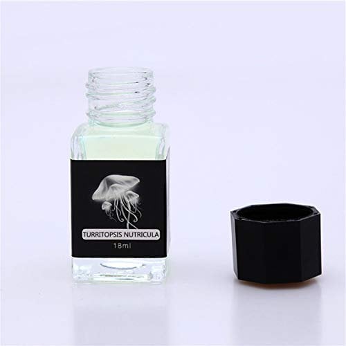 sweetWU 18 ml Nicht-Carbon Magische unsichtbare Tinte für Füllfederhalter Glas Dip Pen