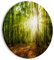 murando - runde Bilder Wald 60x60 cm Leinwandbild 1 tlg Kunstdruck modern Wandbilder XXL Wanddekoration Design Wand Bild Landschaft Natur Sonnenstrahl c-B-0663-bc-a