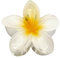 Pinzas para el pelo con flores, pinzas para el pelo de flores hawaianas, pinzas grandes en forma de flor, pinzas antideslizantes para el pelo, pinzas grandes para cabello grueso y fino (blanco