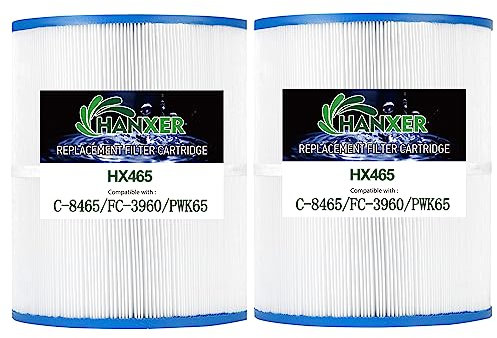 HANXER PWK65 Spa Filterkartusche ersetzt C-8465, Watkins 31114, Filbur FC-3960, 71827, 71828, Darlly 80651 Whirlpool-Filter, Watkins 65 m² Hot Spring Spa Filter, 2 Stück