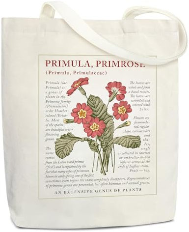 Lidxfeo Canvas Tote Bag mit Reißverschluss, Faltbar Einkaufstasche Große, Baumwolle Stofftasche Aesthetic Damen, Jutebeutel Bedruckt mit Innentaschen, für Arbeit, Einkaufen, Schule und Alltag